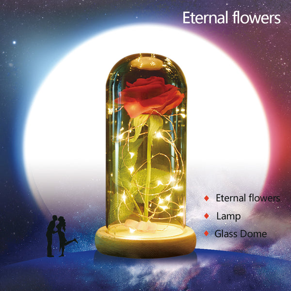 Rose Beauty and the beast 